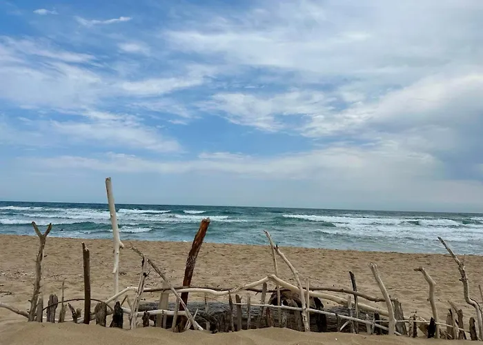 Complex Gallery Saint Thomas Apartament *