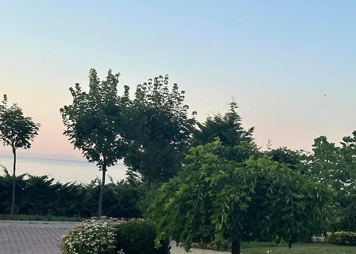 Complex Gallery Saint Thomas